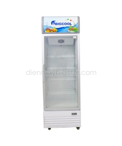 Tủ mát 1 cánh sưởi kính BigCool CL-600F